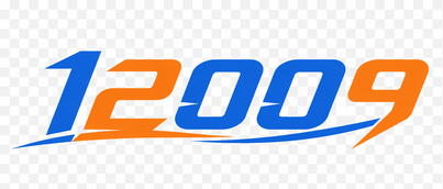 12009 official brand logo